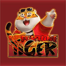 melhor hora para jogar o tigre - Slots Casino ícone